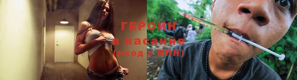 сатива Богородицк