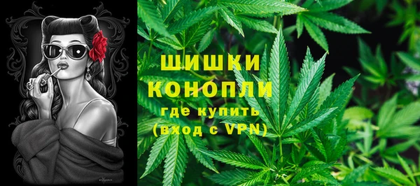 гидра Богданович