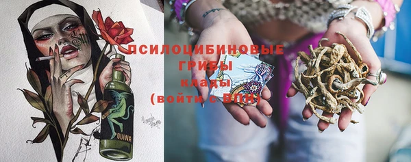 гидра Богданович