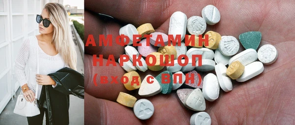 гидра Богданович