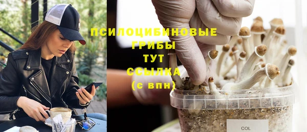 MDMA Premium VHQ Белоозёрский