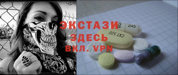 гидра Богданович