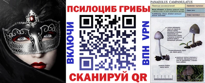 Галлюциногенные грибы GOLDEN TEACHER  купить наркотики цена  Белорецк 